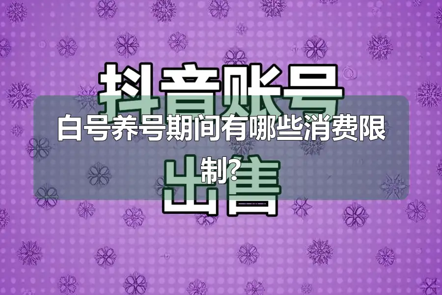 白号养号期间有哪些消费限制?